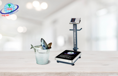 Mua cân điện tử thủy sản với các mẹo hay